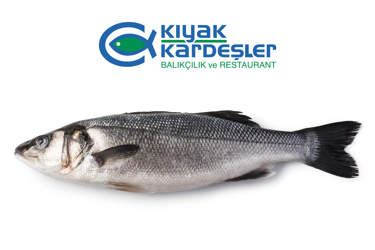 https://www.kiyakkardesler.com.tr/image/1712482408-970458274.jpeg